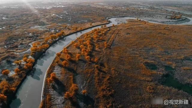 大山 沙漠 湖泊 金胡杨是大自然最完美的构图