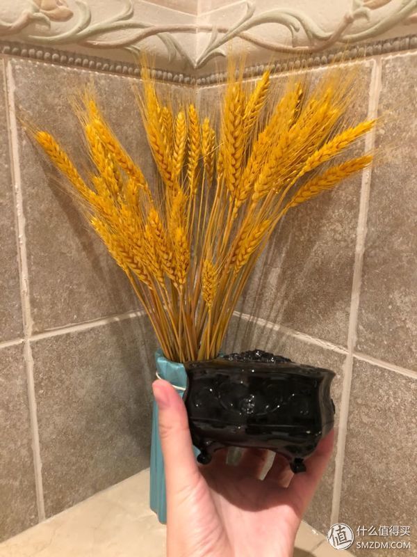 买到停不下来的那些美妆品