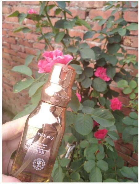 50岁依然可以美得像少女，和王菲一样拥有年轻理想新肌