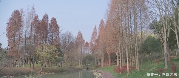 扬州瘦西湖将重现“湖上梅林”胜景