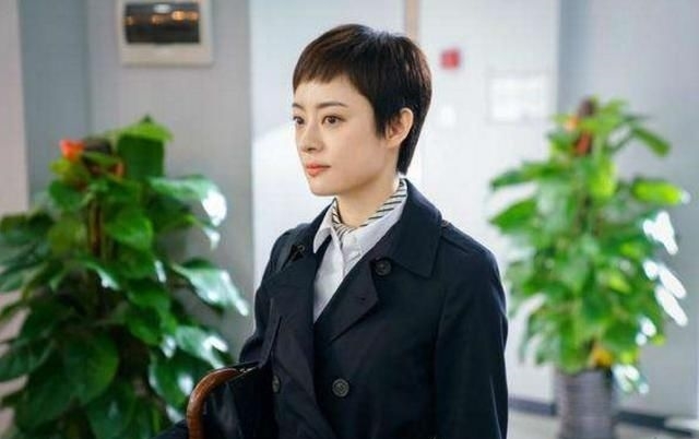 「 雪纺衬衫」袁泉陈数被赞大气,胡静孙俪集体扑街,中年女星演职场强人