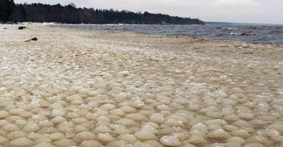 西伯利亚一海边出现巨大“雪球”专家称：这不是好征兆！