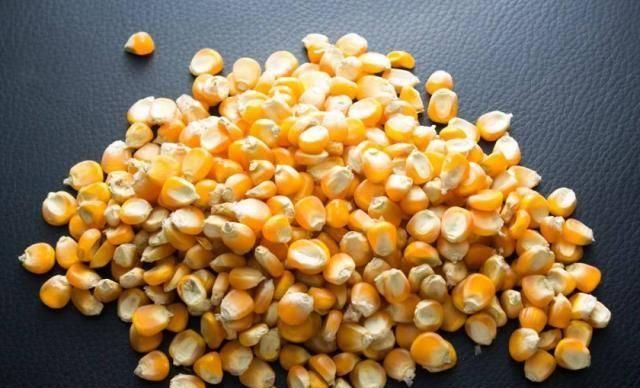  『玉米皮』“藏”在玉米地里的4种宝，不是只有玉米，全认识的才是“大神”