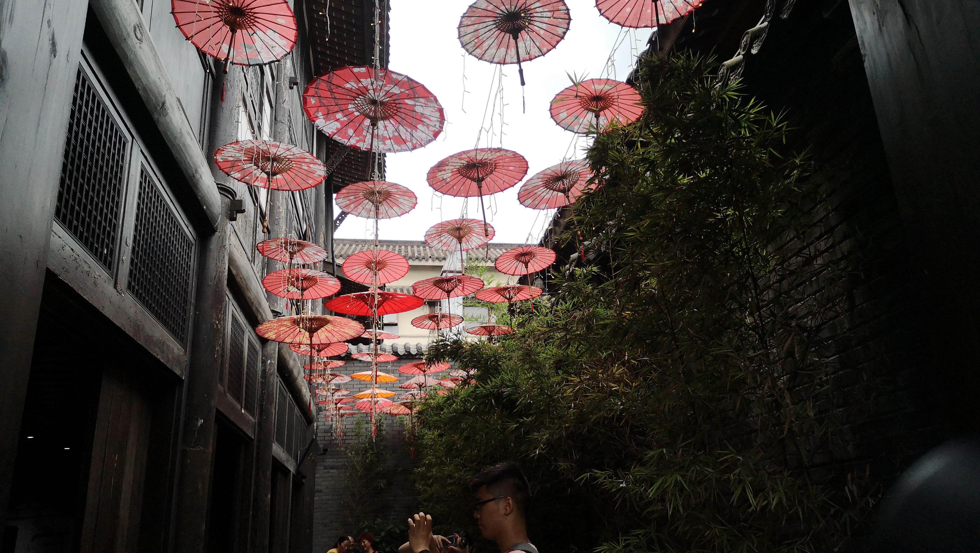 成都十二时辰，记旅行家红人天府之国”蓉城“游记