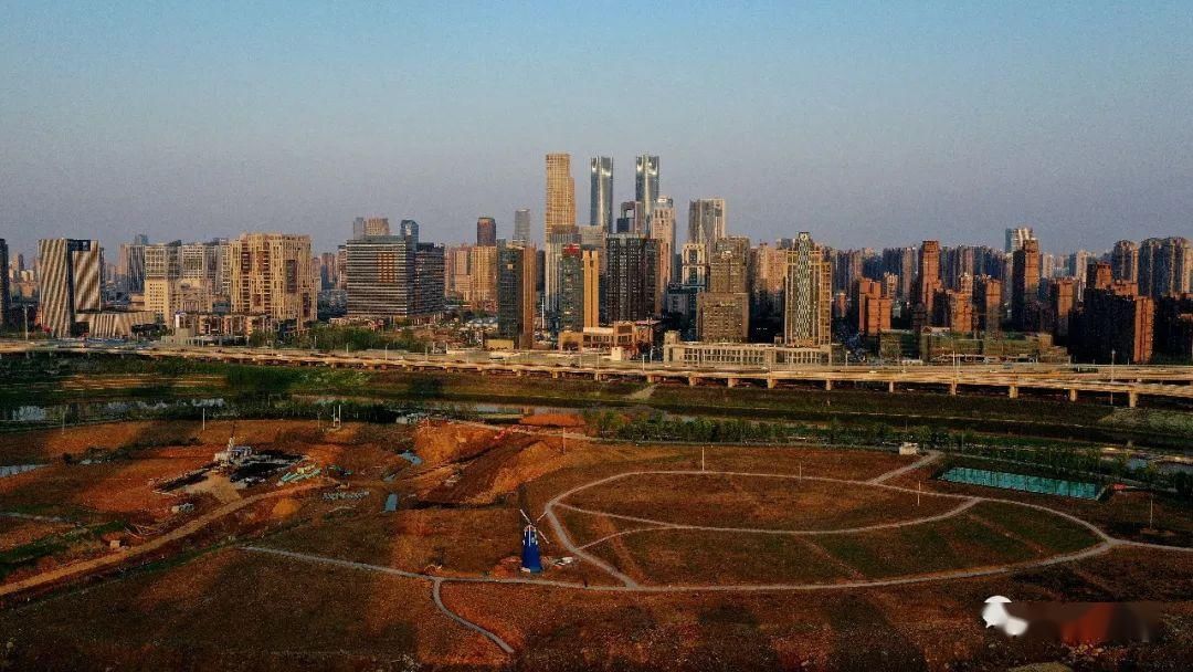  「公园」好消息！南昌新添一处湿地“花海”景观公园