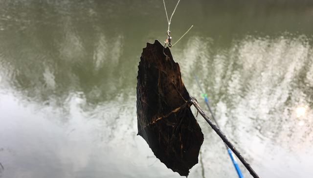  『中鱼』同样是钓鱼多年，你为啥老是空竿？我告诉你多半是这5个原因