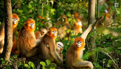 中国这里为国争光，使中国成为世界自然遗产最多国家，网友：自豪