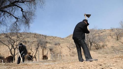  李林贵@为照顾患病弟弟，兄弟俩隐居深山50年，一年没吃过大米了