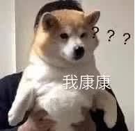  『夜光仙人掌』看了2020年的新产品精粹，SK2小灯泡忽然不香了！