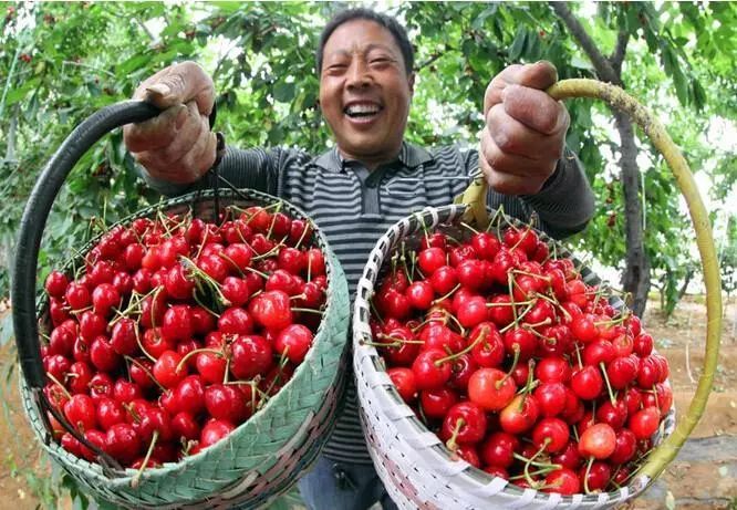 你家一亩地居然值200万！快看看，不知道可就亏大了......