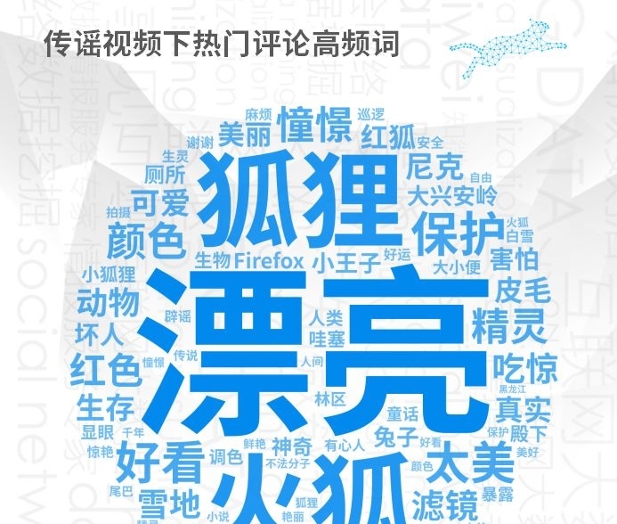 大兴安岭出现火狐狸