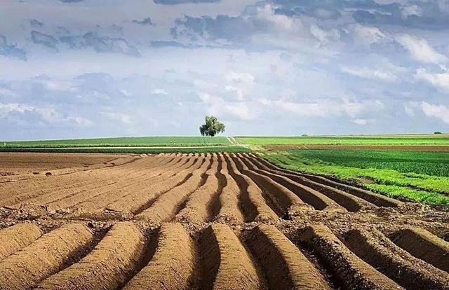 严守耕地保护红线！为什么一年时间，15.5亿亩变成15.46亿了？