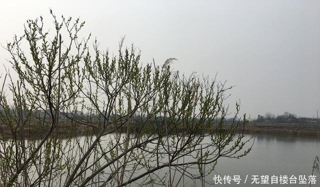 努力:惊蛰过后,钓底还是钓浮考虑水情和鱼情,选择大于努力