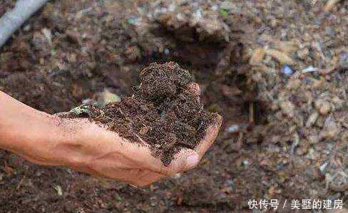  【养花】养花少不了氮磷钾，自制3种花肥，省了肥料钱肥力足
