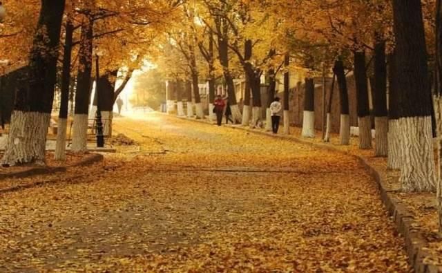 出发 | 金秋十月，这5个地方藏着中国最美的秋色！