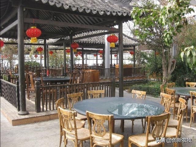 中国猪价刷新历史新高，非洲猪瘟后继续复养，该如何选择？