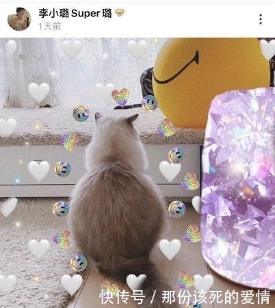 贾乃亮李小璐和照