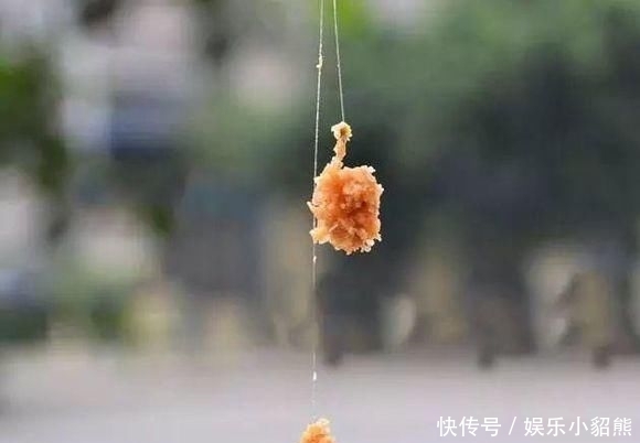 「你会发现」钓鱼的这几道坎过去了,你离成为高手就不远了
