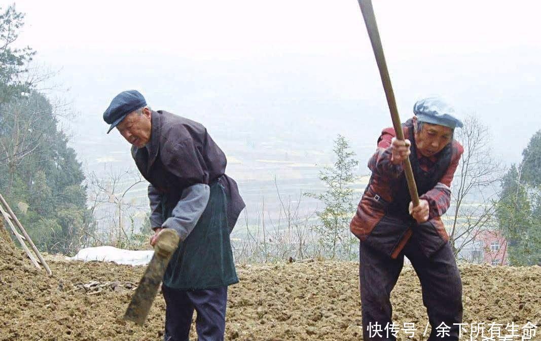  有吃有喝■农民有地有吃有喝，每月200元养老补贴够用吗？ 听听