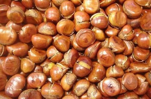 去国外旅游,看到地上掉板栗,不要捡,当地人也不敢