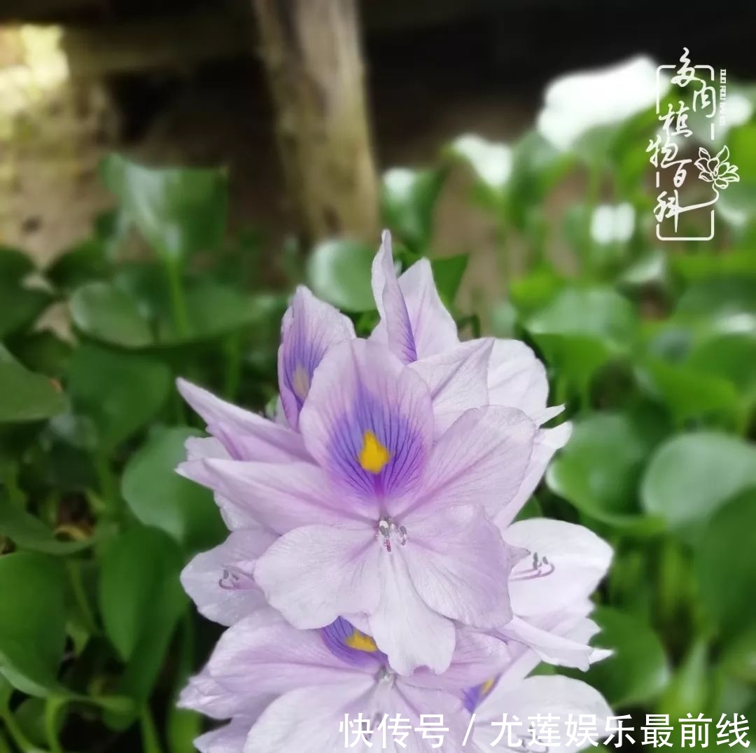  『那种』我爱的，就是你的存在！只要努力该来的都在路上！
