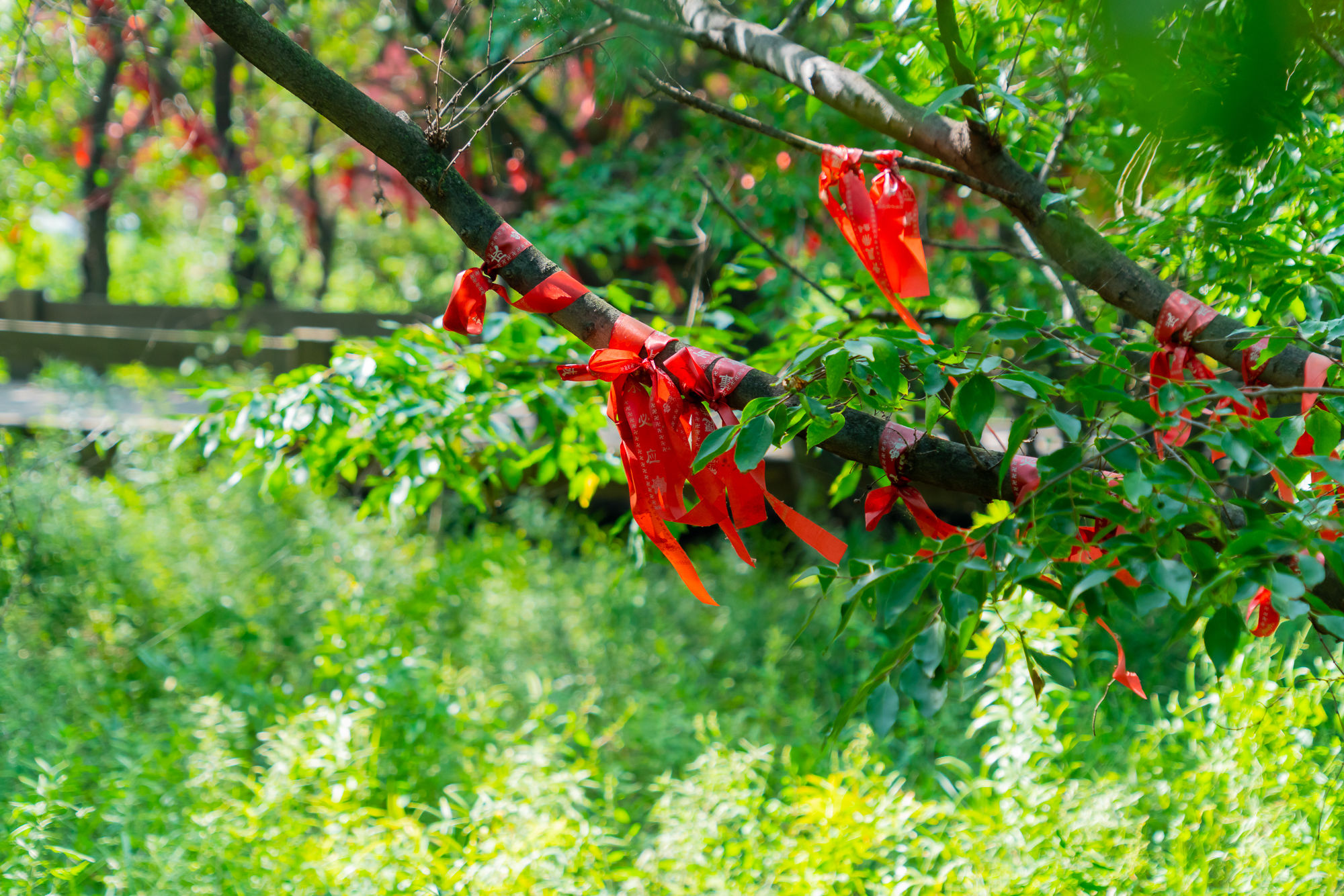 用三天两夜的时间，在风光秀美、沙暖潮平所在，找寻最正宗的唐山