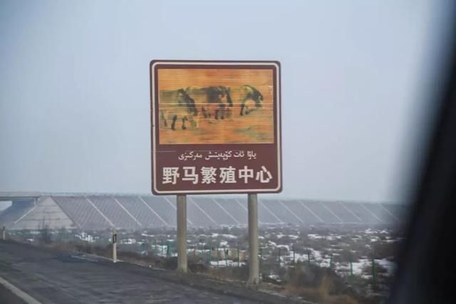 服气！接近零下20度，这台10多万的SUV还敢爬山撒野