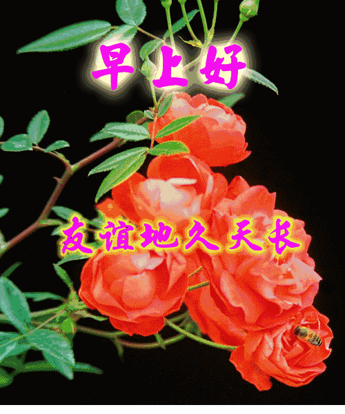  但一定@人海中有你，是一道风景；生活中有你，是一种幸福
