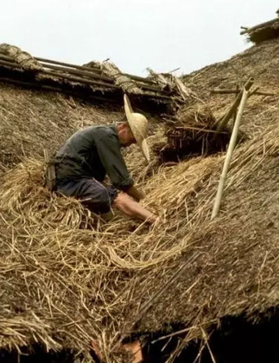  「课本」80年代中国老照片，张张想念，图2女大学生在温习课本