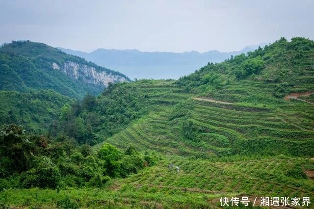  [水镜]水镜张家界 探秘茅岩河