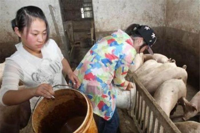  【拆除】农村这三个地方禁止“搞养殖”，会面临巨额的罚款，甚