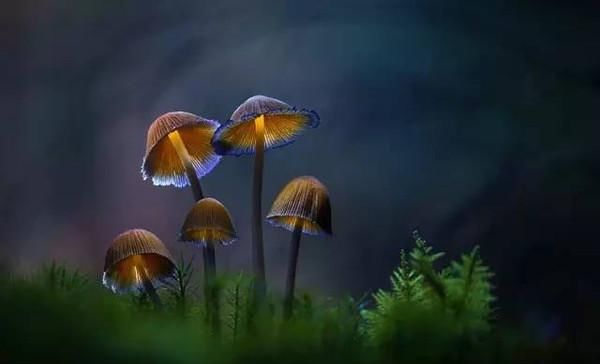 拍的照片总有一些噪点，什么原因造成的？有哪些解决办法？