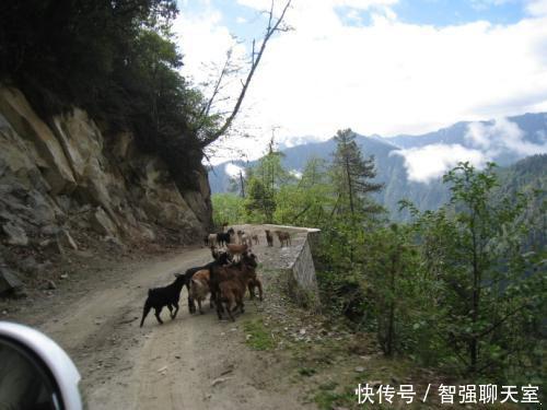 这地方被誉为云南最后“秘境”, 一条路修了50年, 如今禁止通车