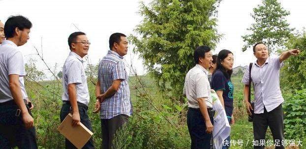 好消息来了，国家将出手解决农村这2大“难题”，农民拍手叫好！