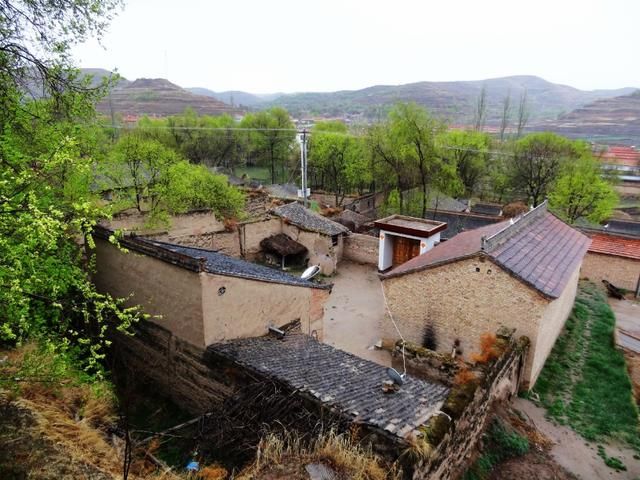 农村“老四害”刚消灭，“新四害”又来了，农民朋友苦不堪言