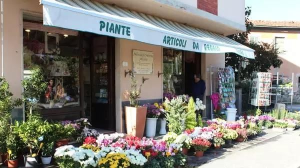 围观欧洲庭院，生活明朗，万物可爱