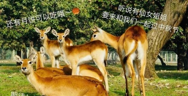 教师节、中秋节、国庆节，这里统统给你安排好了