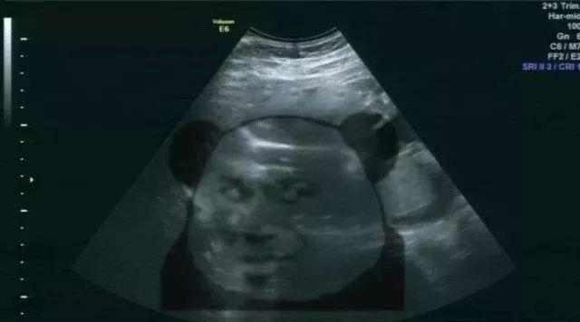 给男朋友发消息说"我好像怀孕了"，网友的评论太精彩了