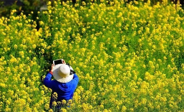 3月最佳旅行地榜单:十大绝美仙境，春暖花开美到窒息!