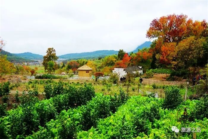 皖南的塔川,秋天的骄傲,极美的色彩天堂