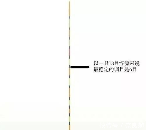  【鱼率】高手野钓鲫鱼怎样调漂，告诉你一个绝招，提高中鱼率