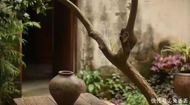 『养花』有个小院子,喝茶养花玩石头