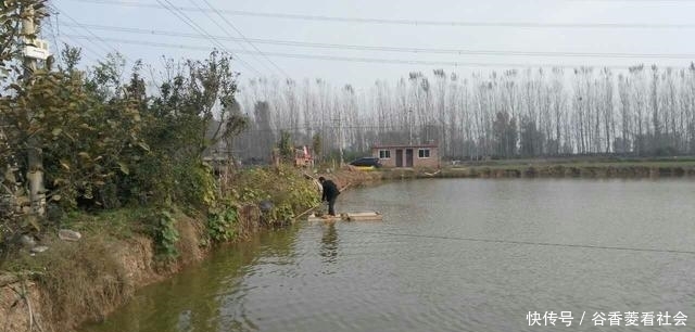  奇怪@奇怪的农村人：稀罕农产品懒得收，田里自生自灭