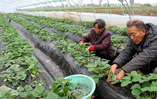 想返乡创业？农村3个生意都不错，起早贪黑的干，月入1万不算难