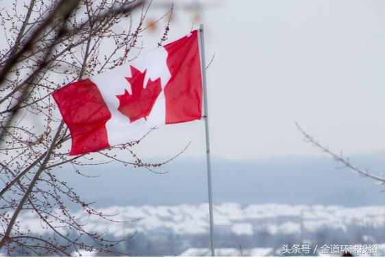 担心特朗普又跟人谈崩了？一群高管已做好万全之策！