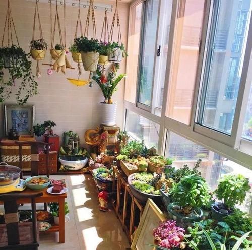  「技巧」阳台养花有技巧，这样搭配种植，四季有花赏，开成小花园