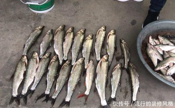  「试试」手竿钓翘嘴的三种方法，除了飞铅钓，还可以试试这两招！