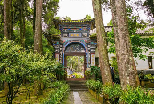 中国“最特别”的尼姑庵，只种花却不烧香！游客直称：太美了！