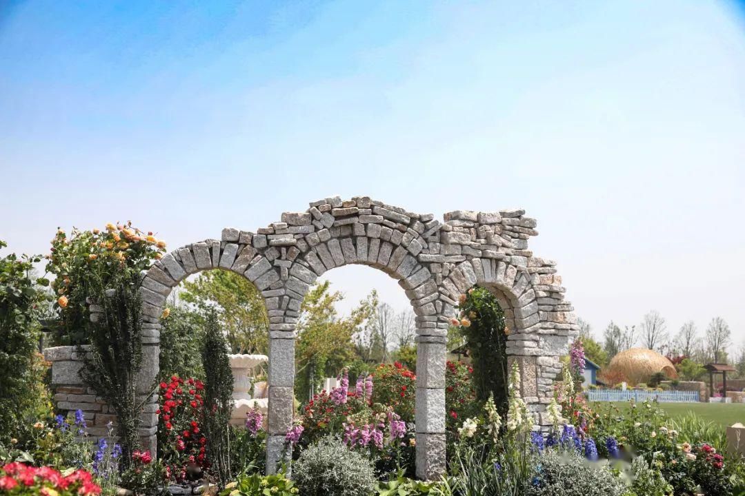  会场■2020上海（国际）花展奉贤上海之鱼会场倒计时~Bulu邀您来赏花