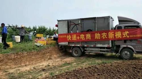 在农村，未来的3个“高利润”项目，现在只有村干部知道